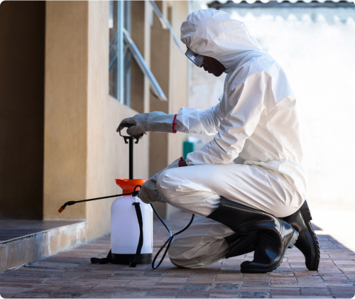 Pest control servicing property